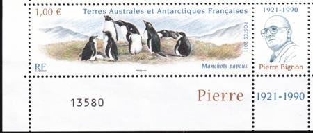 INV-29275itExt_f8d6a5db-89fb-4795-9d18-53e11712e6cf French Southern & Antartic Territories 447 Penguins