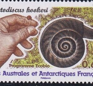 French Southern & Antartic Territories 454 Snail