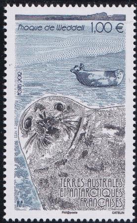 INV-29287itExt_e53d8ca0-cb0f-484c-9dfa-850d05552a88 French Southern & Antartic Territories 456 Seals