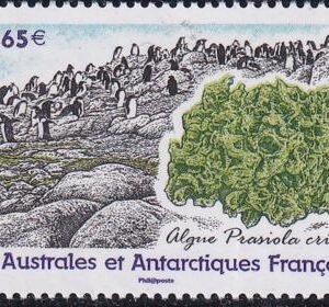 French Southern & Antartic Territories 473 Petitjean-Pilot