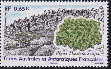 INV-29296itExt_12398ccf-38fc-4c91-8641-5f0fca345cae French Southern & Antartic Territories 473 Petitjean-Pilot