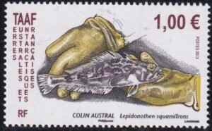 French Southern & Antartic Territories 474 Fish