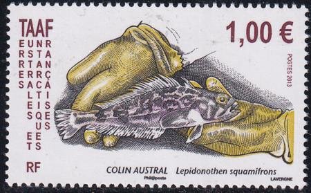 INV-29298itExt_40f1c63b-1c5b-4cde-af1a-1af0fda49eb1 French Southern & Antartic Territories 474 Fish