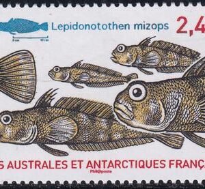 French Southern & Antartic Territories 500 Fish
