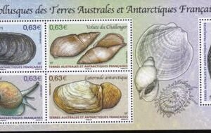 French Southern & Antartic Territories 502 Mollusks