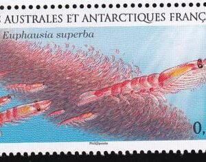 French Southern & Antartic Territories 515 Krill