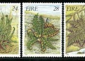 Ireland 655-57 Ferns Set