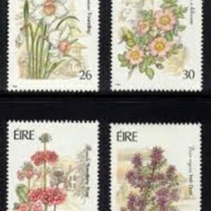 Ireland 810 - 13 Garden Flowers