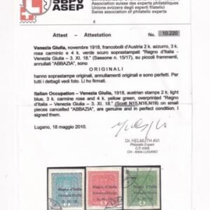 Austria - Venezia Giulia #N19 USED F - VF Avi Cert Copy 3K Granite paper Cat Value  $700