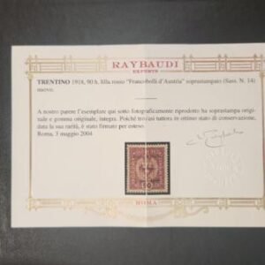Austria _ Venezia Giulia #N46 MINT VF - XF Raybaudi Cert NH Cat Value  $4500