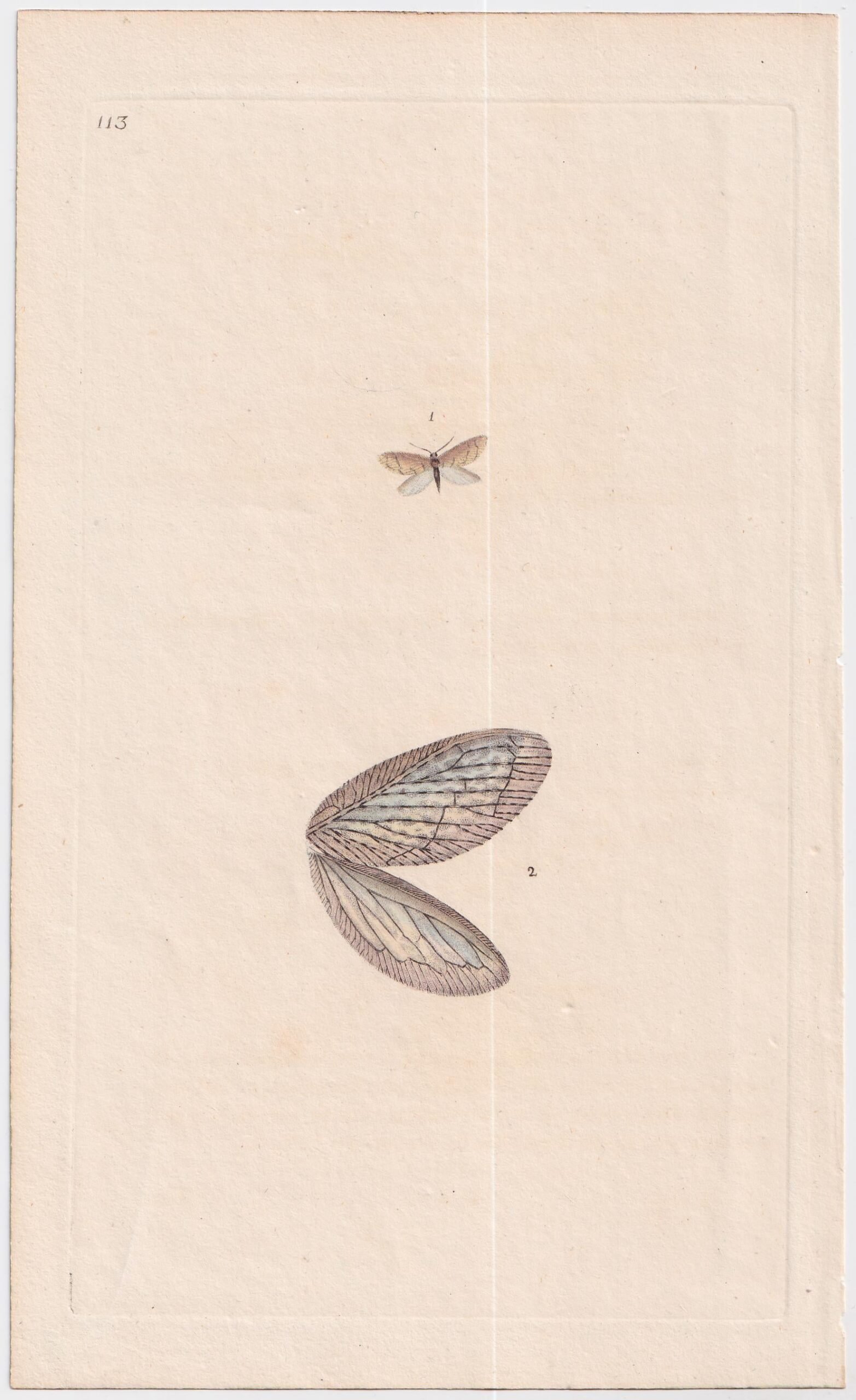 gb_1700s_large_engravings_3_03254