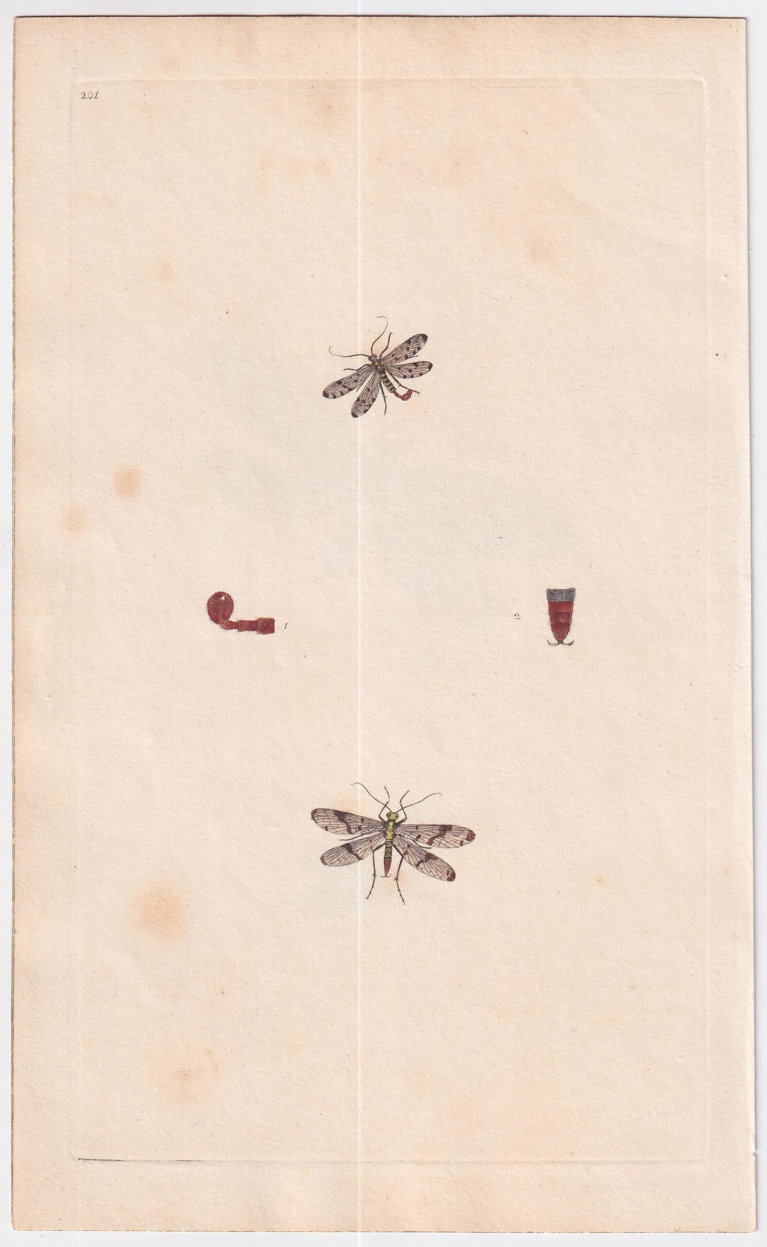 gb_1700s_large_engravings_4_03254