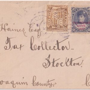 US Hawaii 1896 #57 Pair on Commercial Cover to Tax Collector in California
