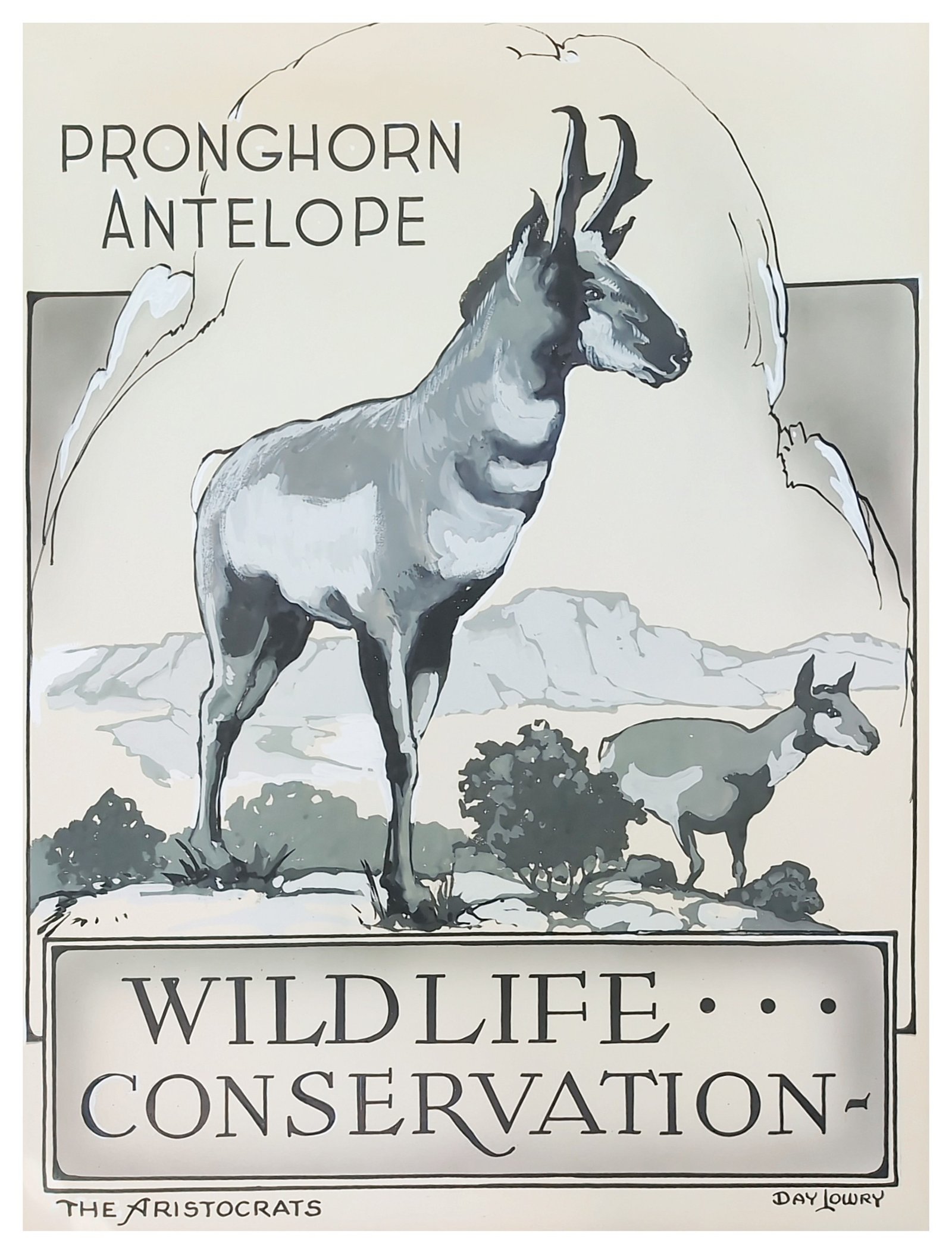 1078_pronghorn_antelope