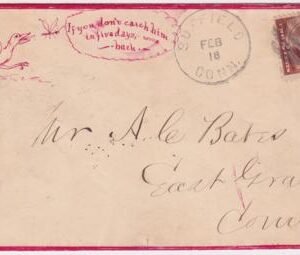 US 1889 Rare Hand Drawn Cover of Bird Chasing Insect