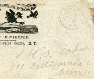 US c1900 cover Insect and Bird illustration on Advertising Cover