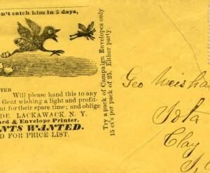 US c1900 Insect illustration on yellow cover