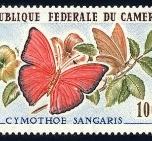 Cameroun C42 NH Butterfly