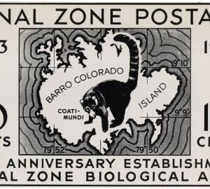 US Canal Zone 141 Photo Essay, Biological Area