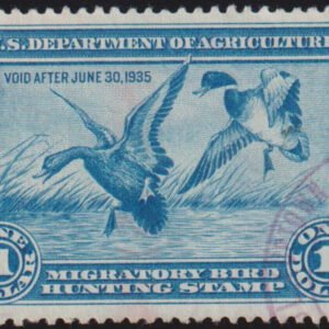 US Federal Duck Stamps #RW1 Used VF - XF