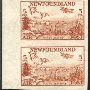 Newfoundland C13a LH Left Margin Vertical Imperf Pair cv $275