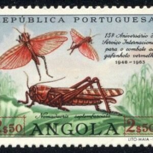 Angola 447 NH Insect - locust