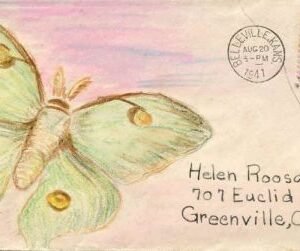 US 1941 Butterfly Hand drawn on Cover
