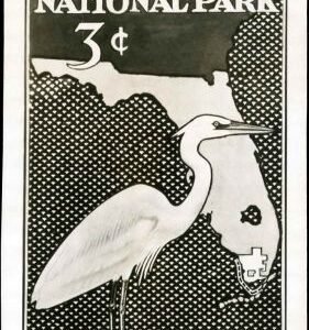 US 952 Photo Essay, Florida Everglades,like final design