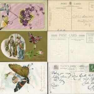 US c1900 Three Colorful PPC's of Butterflies and Flowers