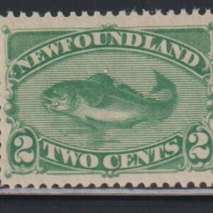 Newfoundland #47 NH  VF  pristine  Cat Value: $310