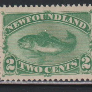 Newfoundland #47 NH  VF  pristine  Cat Value: $310
