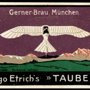 Germany circa 1916 Taube Aircraft Vignette by Igo Etrich