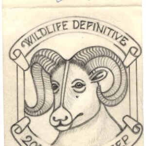 Ralph Dyer Artwork : Scott 1949 Bighorn Sheep