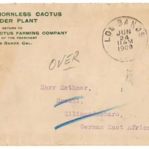 US 1909 Cover from Los Banos, CA to German East Africa, Cactus Farming Corner Card F-VF