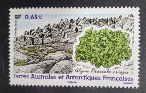 French Southern & Antartic Territories 472 Penguins