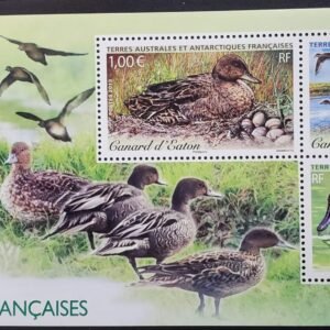 French Southern & Antartic Territories 479 Ducks M/S