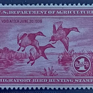 US Federal Duck Stamps #RW2 Mint/LH VF-XF